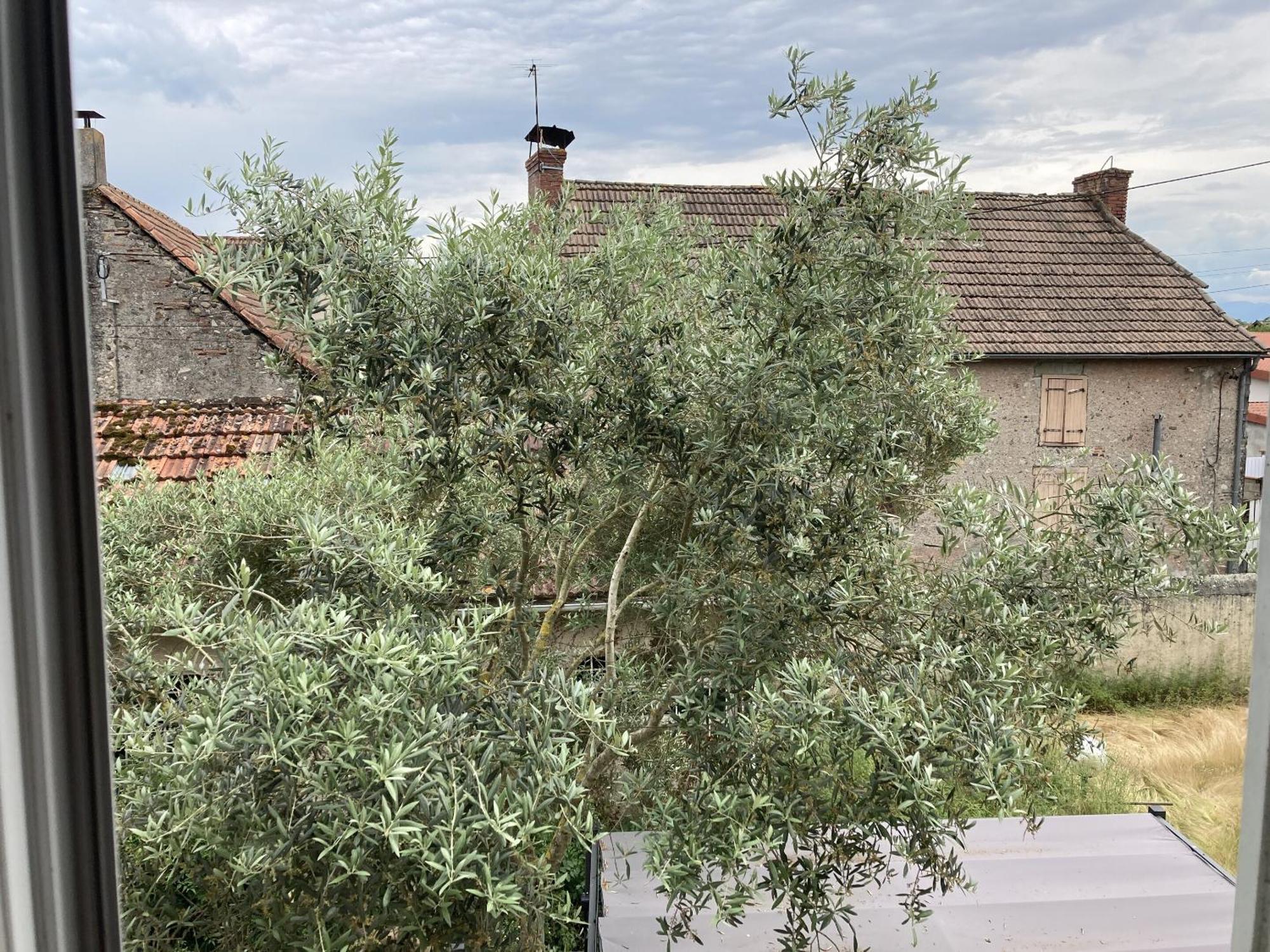 Location Appartement Des Pyrenees Borderes-sur-l'Echez Quarto foto
